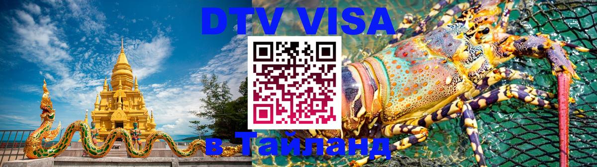 Оформление DTV визы под ключ: стоимость и тарифы, только загранпаспорт - 19.11.2025 